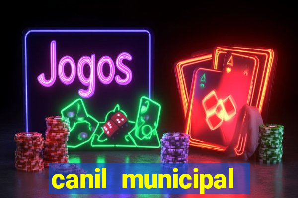 canil municipal porto alegre